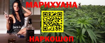 сатива Будённовск